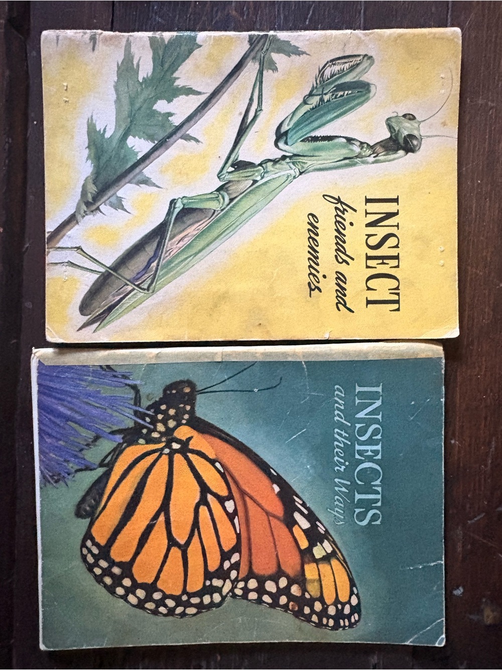 Vtg. School texts set of 2 - Insect themed